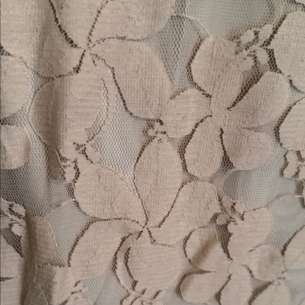 New York & Company Floral Lace A-Line Skirt - Cream - Picture 3 of 7